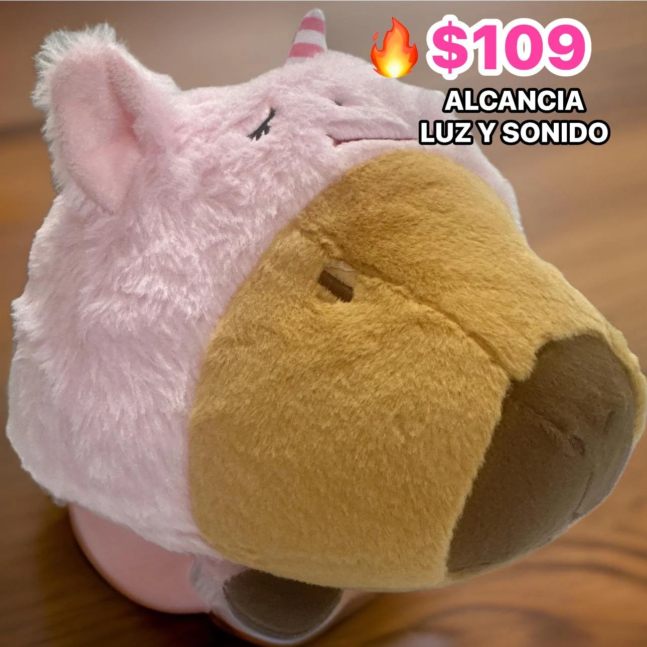 🔥ALCANCIA LUZ Y SONIDO🔥