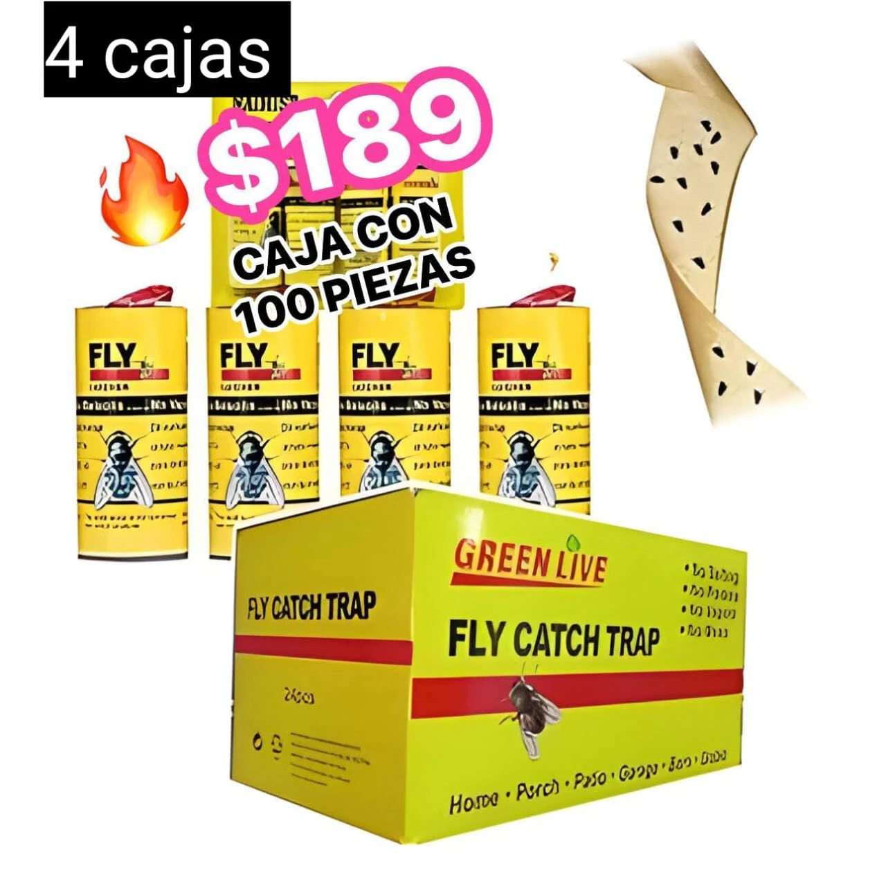 fly catch trap