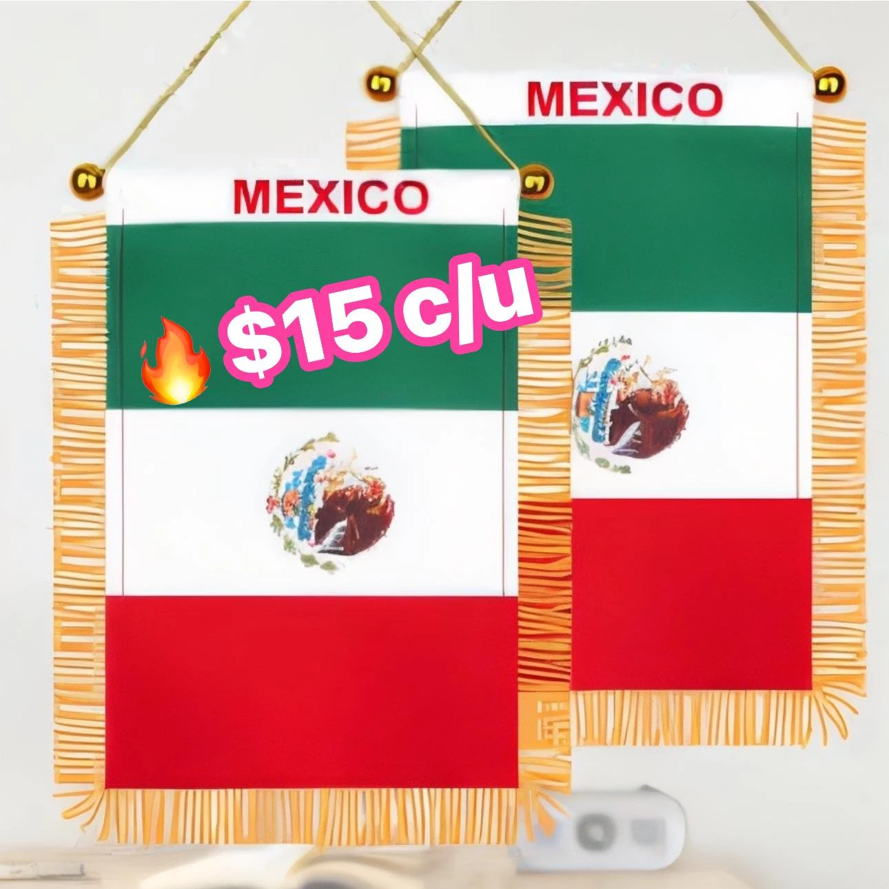 🔥MINI BANDERA AUTO🔥 2112345679327